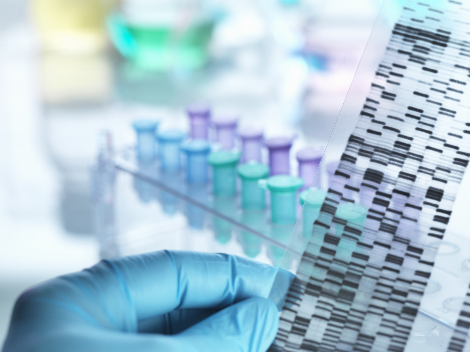 Delaying DNA Amendment Bill Results In 96 800 Violent Offenders Released In Last 5 Years Without 