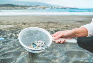 DA supports ban on microbeads proposed by Minister Dr Dion George
