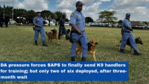 DA pressure forces SAPS to finally send K9 handlers for training; but only two of six deployed, after three-month wait