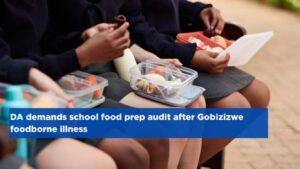 DA demands school food prep audit after Gobizizwe foodborne illness