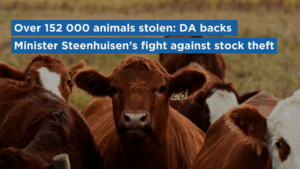 Over 152 000 animals stolen: DA backs Minister Steenhuisen’s fight against stock theft