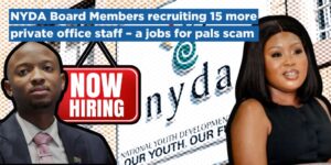 NYDA Board Members recruiting 15 more private office staff – a jobs for pals scam