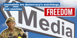 Journalists are democracy’s watchdogs, not enemies