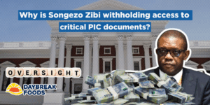 Why is Songezo Zibi withholding access to critical PIC documents?