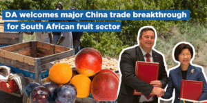 DA welcomes major China trade breakthrough for South African fruit sector
