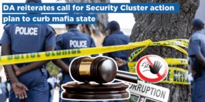 DA reiterates call for Security Cluster action plan to curb mafia state