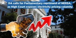 DA calls for Parliamentary reprimand of NERSA, as High Court exposes electricity pricing calamity