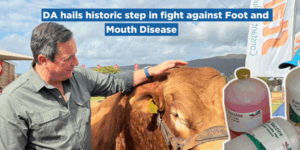 DA hails historic step in fight against Foot and Mouth Disease