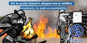 DA to probe Eskom’s alleged role in wildfire breakouts, to seek accountability