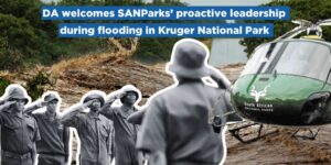DA welcomes SANParks’ proactive leadership during flooding in Kruger National Park