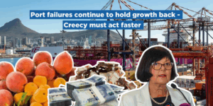 Port failures continue to hold growth back – Creecy must act faster
