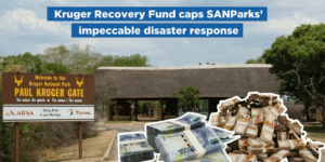 Kruger Recovery Fund caps SANParks’ impeccable disaster response