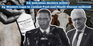 DA welcomes decisive action by Western Cape to combat Foot-and-Mouth Disease outbreak
