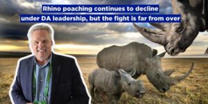 Rhino poaching continues to decline under DA leadership, but the fight is far from over