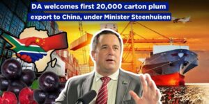 DA welcomes first 20,000 carton plum export to China, under Minister Steenhuisen