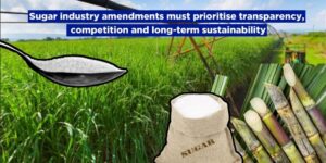 Sugar industry amendments must prioritise transparency, competition and long-term sustainability