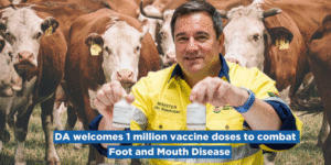 DA welcomes 1 million vaccine doses to combat Foot and Mouth Disease
