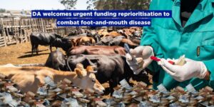 DA welcomes urgent funding reprioritisation to combat foot-and-mouth disease