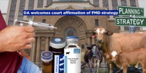 DA welcomes court affirmation of FMD strategy