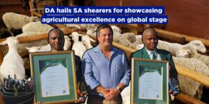 DA hails SA shearers for showcasing agricultural excellence on global stage