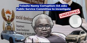 Tolashe Nanny Corruption: DA asks Public Service Committee to investigate
