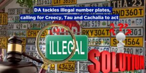 DA tackles illegal number plates, calling for Creecy, Tau and Cachalia to act