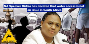 NA Speaker Didiza has decided that water access is not an issue in South Africa