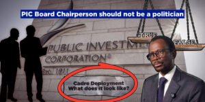 PIC Board Chairperson should not be a politician