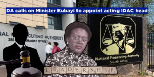DA calls on Minister Kubayi to appoint acting IDAC head