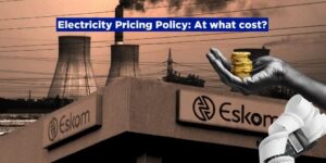 Electricity Pricing Policy: At what cost?