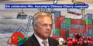 DA celebrates Min. Aucamp’s Chinese Cherry compact