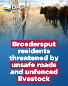 Broedersput residents threatened by unsafe roads and unfenced livestock