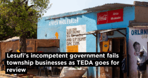 Lesufi&#8217;s incompetent government fails township businesses as TEDA goes for review