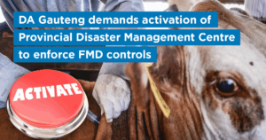 DA Gauteng demands activation of Provincial Disaster Management Centre to enforce FMD controls