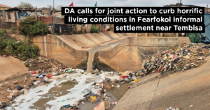 DA calls for joint action to curb horrific living conditions in Fearfokol informal settlement near Tembisa