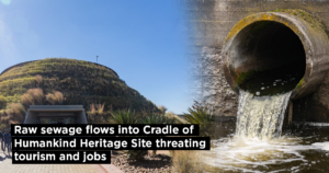 Raw sewage flows into Cradle of Humankind Heritage Site threating tourism and jobs