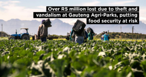 Over R5 million lost due to theft and vandalism at Gauteng Agri-Parks, putting food security at risk