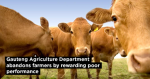 Gauteng Agriculture Department abandons farmers by rewarding poor performance