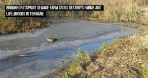 Bronkhorstspruit sewage farm crisis destroys farms and livelihoods in Tshwane