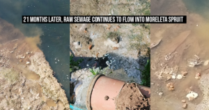 21 months later, raw sewage continues to flow into Moreleta Spruit