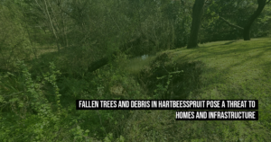 Fallen trees and debris in Hartbeesspruit pose a threat to homes and infrastructure