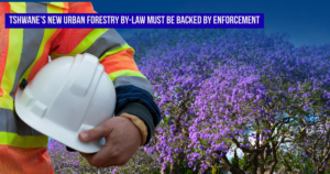 Tshwane’s new Urban Forestry by-law must be backed by enforcement