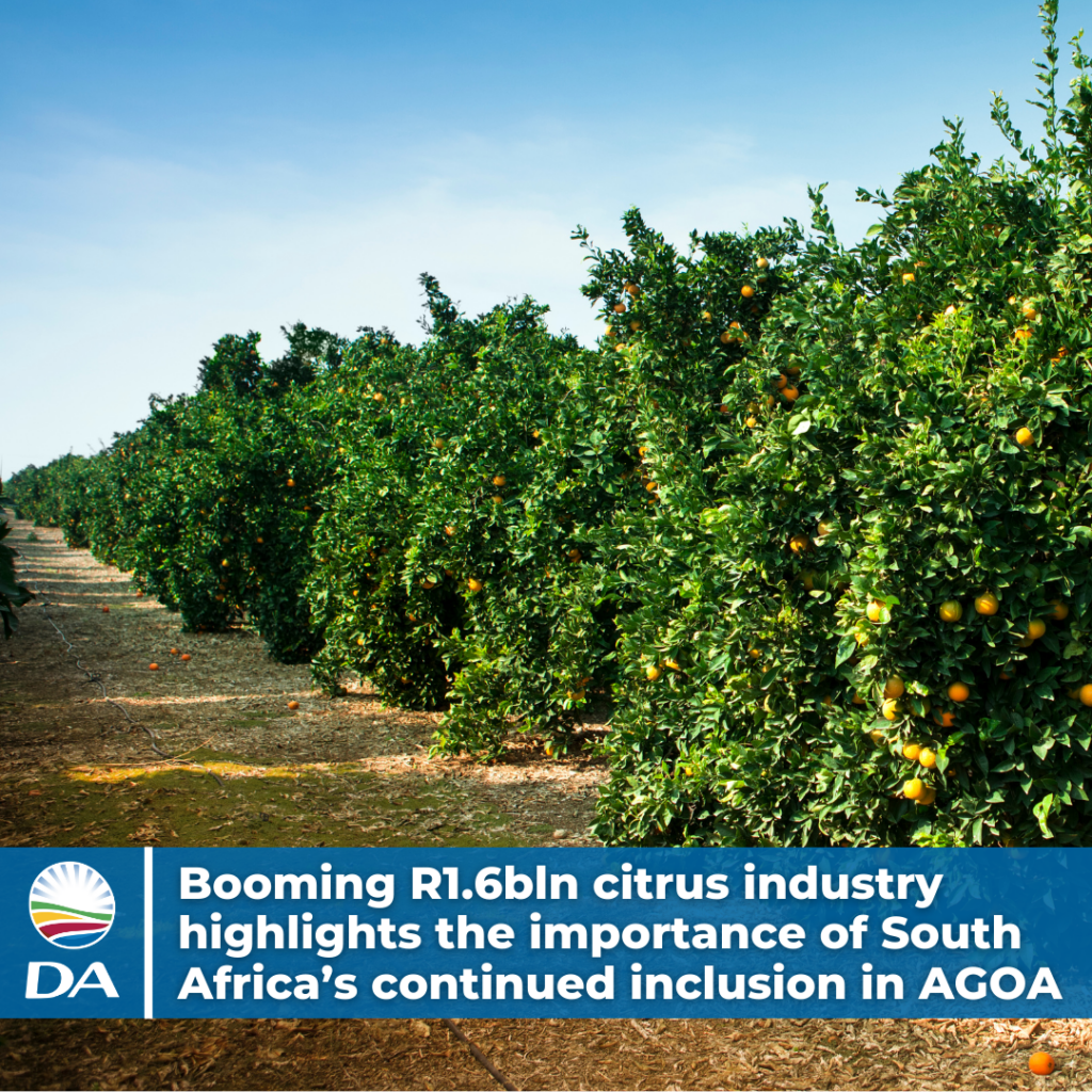 Booming R1.6bln citrus industry highlights the importance of South