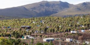 DA welcomes High Court order to restore rule of law at Knoflokskraal