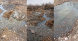 DA reports Upington sewage spill to South African Human Rights Commission
