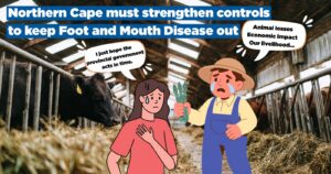 Northern Cape must strengthen controls to keep Foot and Mouth Disease out