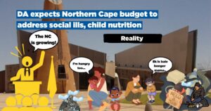 DA expects Northern Cape budget to address social ills, child nutrition