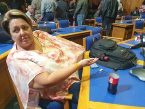 DA to petition virtual Sol Plaatje council meeting after violent disruption aimed at forcing municipal collapse