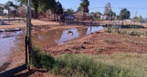 QLFS: NCape won’t work until municipalities do