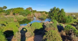 DA lays criminal charges against Kamiesberg officials over sewage spillages